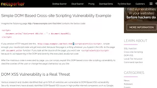 Web For Pentester 9 - XSS Example 9