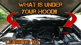 Car Learning - Whats Under Your Hood?