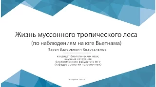 Жизнь муссонного тропического леса (по наблюдениям на юге Вьетнама)