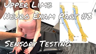 Upper Limb Neuro Exam -  Part 3 Deep Tendon Reflexes, Sensory