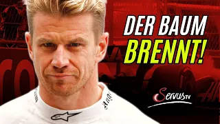 Hülkenberg-Interview: Was ist da in den Rennen los, Nico?