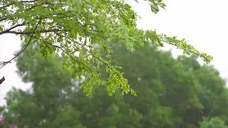 Fall Asleep Fast With Extreme Hurricane, Torrential Rain & Thunder Sound View From The Roof At Night