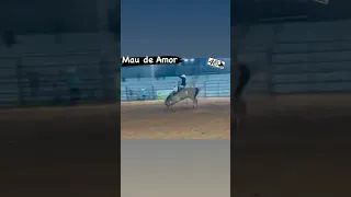 MAU DE AMOR no Rodeio de Irapuã