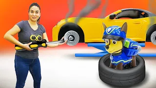 Lustige Schule für Kinder. Chase und Paw Patrol Helden reparieren die Autos.Kinder Video auf Deutsch