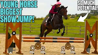 YOUNG HORSE BIGGEST COMPETITION! | CAN HE GO ALL THE WAY? || VLOG 113