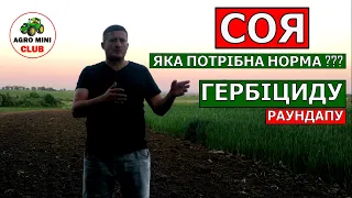 Яка норма гербіциду для сої?Скільки потрібно раундапу для сої ГМО?Оприскування сої гербіцидом.