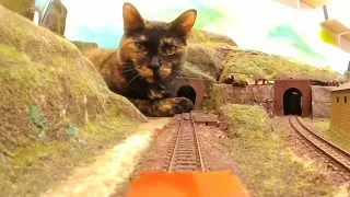 サンデージオラマレストラン - 猫のせいで目的地に到着できない列車。