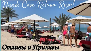 Пляж COVE ROTANA RESORT. Отливы и приливы Рас Эль Хайма 2023
