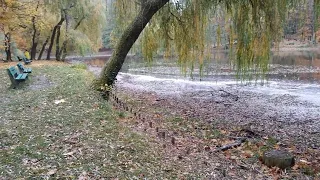 Красивое место в Польше в Городе Щецин! Озеро!