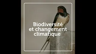 Biodiversité et changement climatique