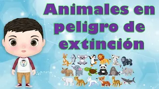 animales en peligro de extincion para niños de preescolar - video educativo