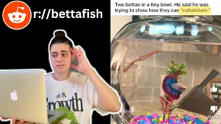 Reacting To BETTA FISH TANKS On REDDIT