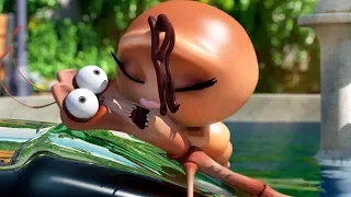 LARVA - LOVER | Cartoon Movie | Cartoons | Comics | Larva Cartoon | LARVA Official