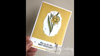 Daffodil Daydream Clean and Simple Card