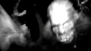 Top 3 Scariest Never Before Seen Videos Of Bigfoot Caught On Camera