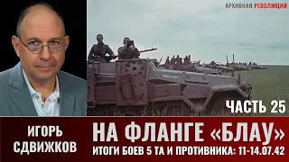 Игорь Сдвижков. На фланге "Блау". Часть 25. Итоги боёв 5 ТА и противника 11 - 14 июля 1942 года