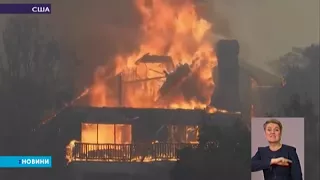 Пожежі в Каліфорнії забрали життя вже щонайменше 17 осіб