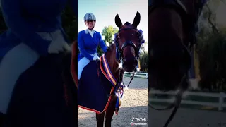 Hunter Jumping/Dressage Tiktok Compilation