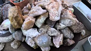 Collecting rocks, California desert