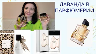 Лавандовый рай в парфюмерии:  Let You Love Me, Peau de Soie Starck, libre Ysl edp, libre Ysl edt.