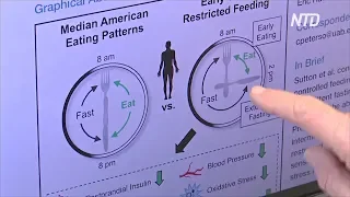 Интервальное голодание набирает популярность в США