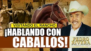 ¿ME MUDO AL RANCHO? | DON PEDRO RIVERA DE VIAJE