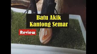 Batu Akik Kantong Semar Review