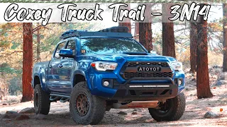 2WD Tacoma Adventure - Coxey Truck Trail - 3N14 - Easy Off-Roading trail in SoCal