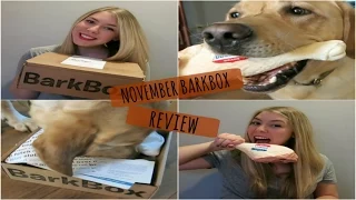 November Barkbox Review