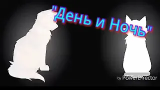 Коты воители "День и Ночь"