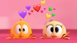 ¿Dónde está Chicky? ❤️ 2023 💜 HISTORIA DE AMOR 💛 Dibujos Animados Para Niños | Nuevos episodios