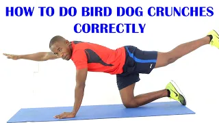 How to Do Bird Dog Crunches for Core Strength | Exercise of The Day #20