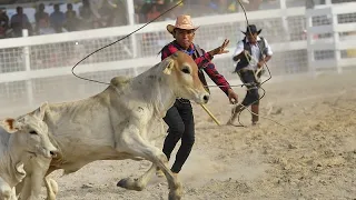 Finns race on reindeer while in Guyana they celebrate rodeo skills