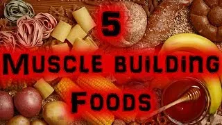 5 Great Muscle Building Foods [Full HD]