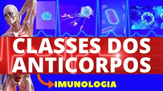 CLASSE DOS ANTICORPOS (TIPOS OU ISOTIPOS DE ANTICORPOS) - FUNÇÕES DOS ANTICORPOS - IMUNOLOGIA