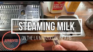 STEAMING MILK ON THE LA MARZOCCO LINEA PB - Tips and Tricks for better milk for latte art!!!