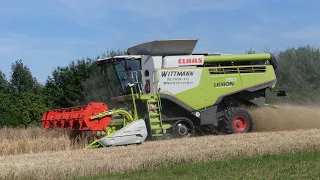 Erste Gerste 2019 dreschen mit Claas Lexion 750 Terra Trac