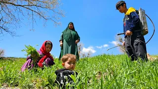 Bita and her sister Anahita are spraying the fields with a hand pump.