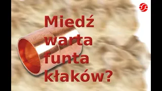 Miedź warta funta kłaków