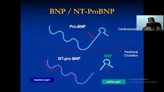BNP & NT-ProBNP difference in HF(English) Dr.Fawad Farooq