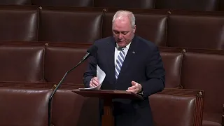 House Majority Leader Steve Scalise speaks on the House Floor