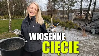 WIOSENNE CIĘCIE W OGRODZIE. Przycinanie hortensji, trawy ozdobnej, trzmieliny i wierzby.