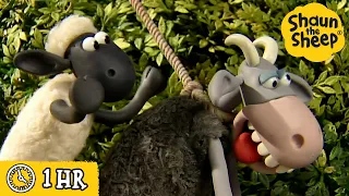 Shaun the Sheep 🐑 The Crazy Goat Chase 🤪🏃‍♂️ Full Episodes Compilation [1 hour]