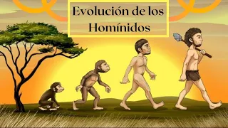 Evolución de los homínidos: Un recorrido por el tiempo