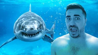 הוא שחה עם כרישים אמיתיים בדובאי ! (זה היה מפחיד)