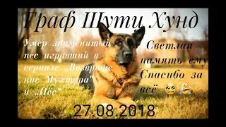 Умер знаменитый пёс Граф Шутц Хунд(27.08.2018)💔😭