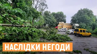 Понад дві сотні повалених дерев та підтоплені будівлі: наслідки негоди у Львові