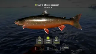 Russian Fishing 4 Палия на Ладожском архипелаге на вэки оснастку.