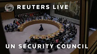 LIVE: UN Security Council meets on situation in Middle East