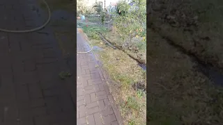 В Белгороде прорвало водопроводную трубу. Люди жалуются на белводоканал.